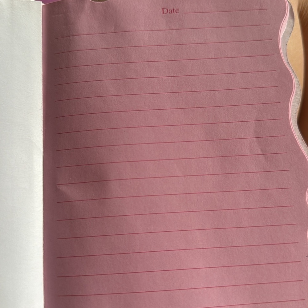 mini horse notebook - Picture 2 of 3